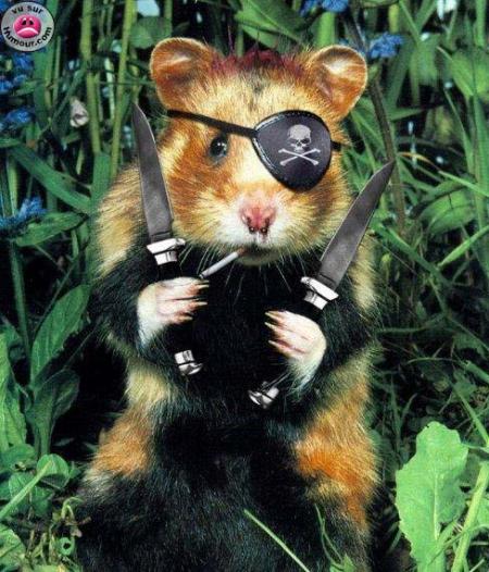 souris a l action